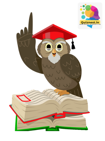 Illustration of an owl, often symbolizing wisdom through knowledge and good judgment.